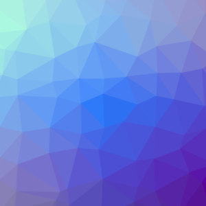 Test 2 Variation product