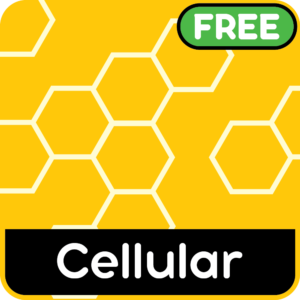 Animated hexagonal patterns with flowing colour transitions and layered depth.